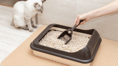 kattenbak schoonmaken