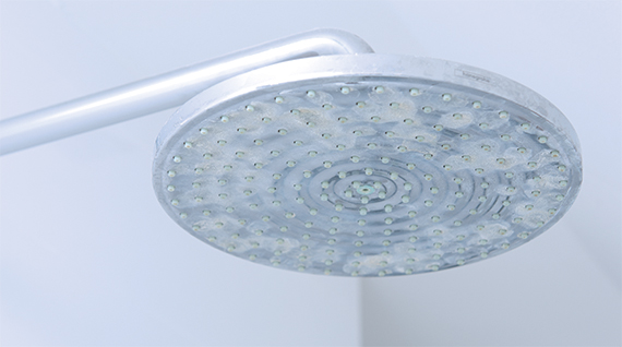 how to descale a shower head
