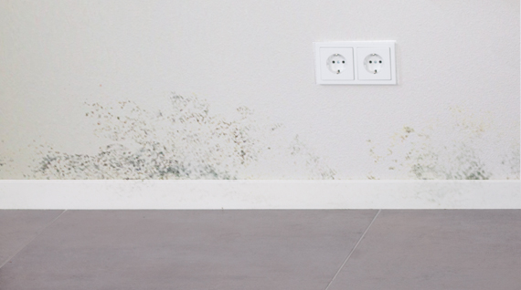 How to get rid of mould on walls