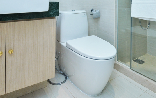 Toilet quickly hygienically fresh and clean!
