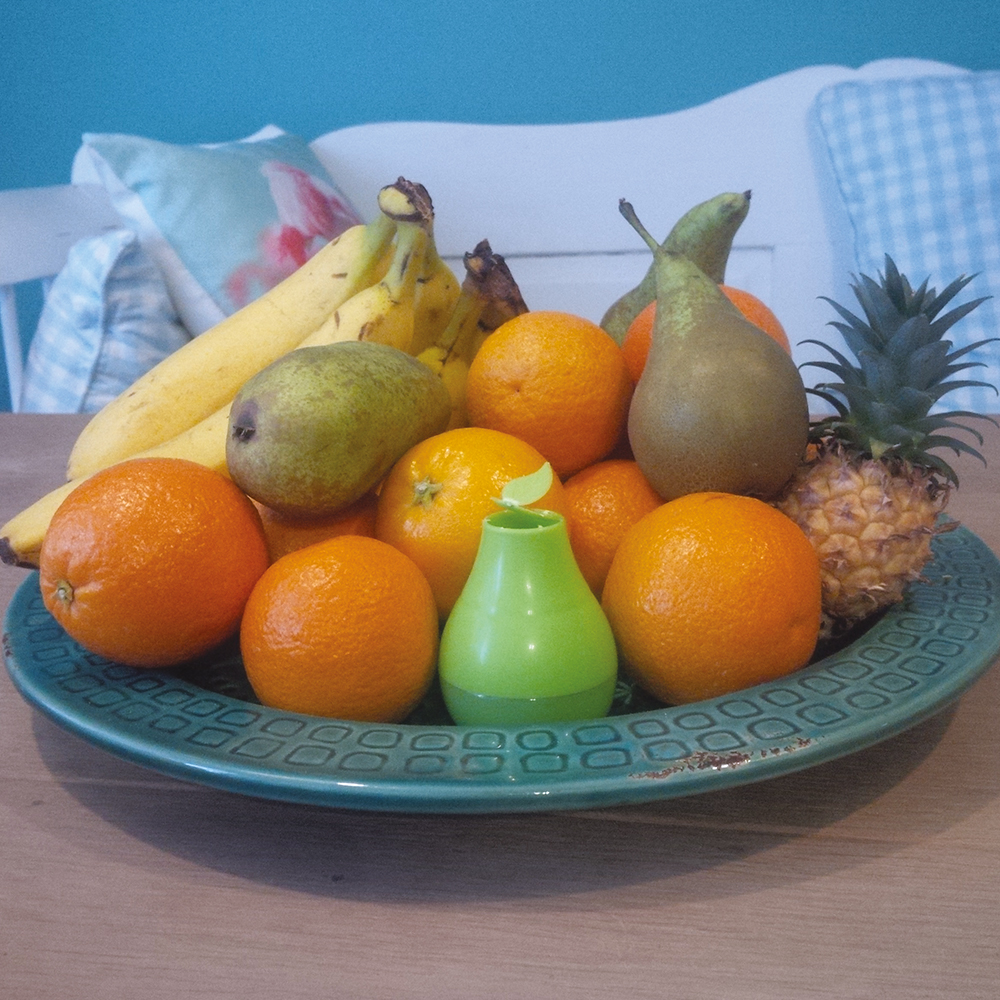 HGX piège pour mouches à fruits recharge