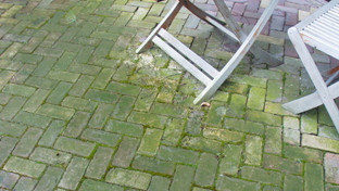 Grünbelag entfernen