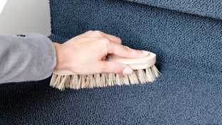 How to clean carpet