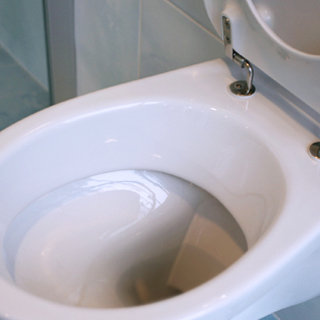 How to descale a toilet